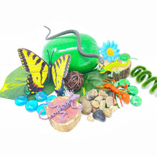 Load image into Gallery viewer, Backyard Explorer Mini Kit